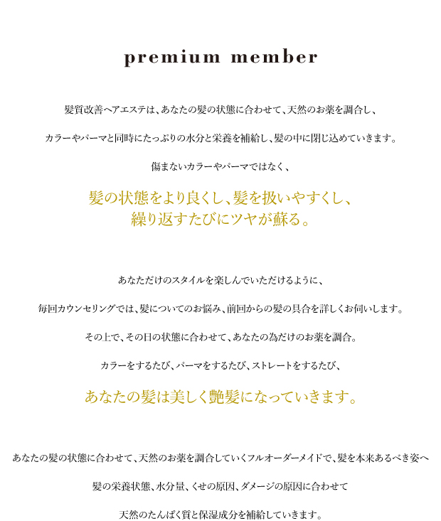 premium memberの概要